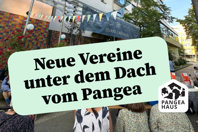 Pangea Haus wächst!